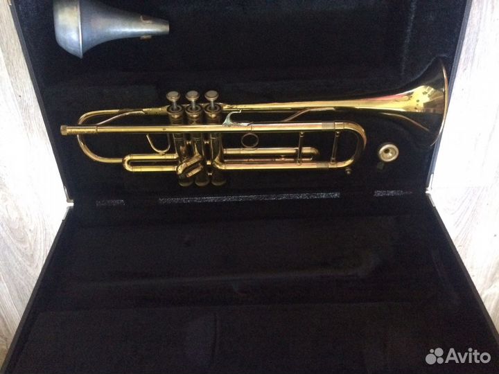 Труба blessing ml 1