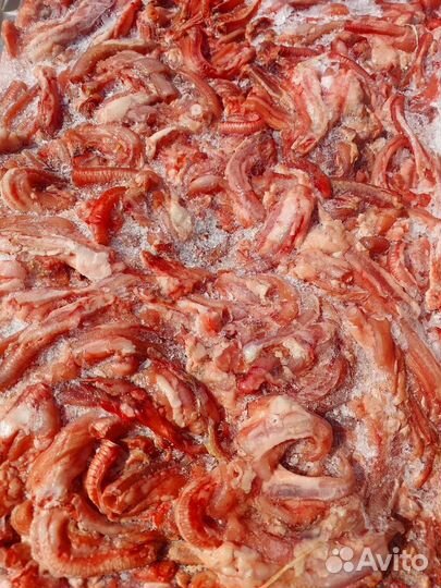 Мясо для собак