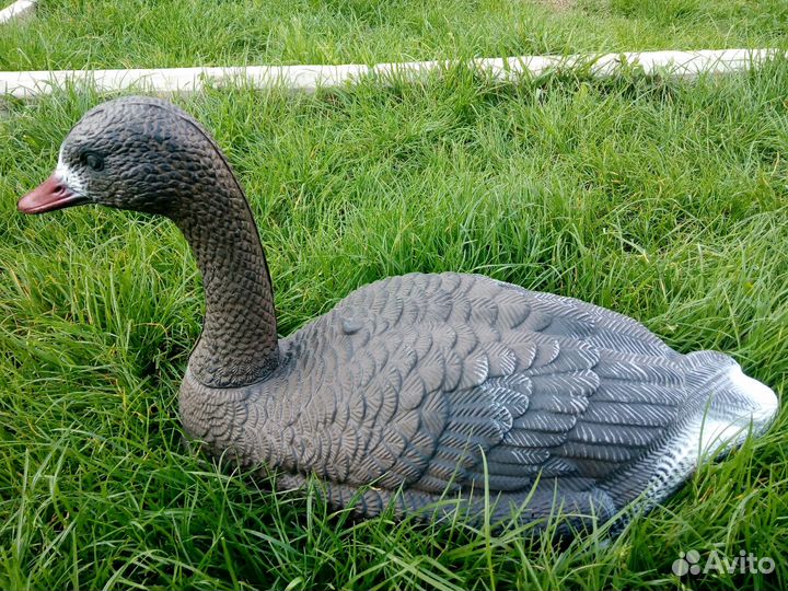 Чучела гусей для охоты