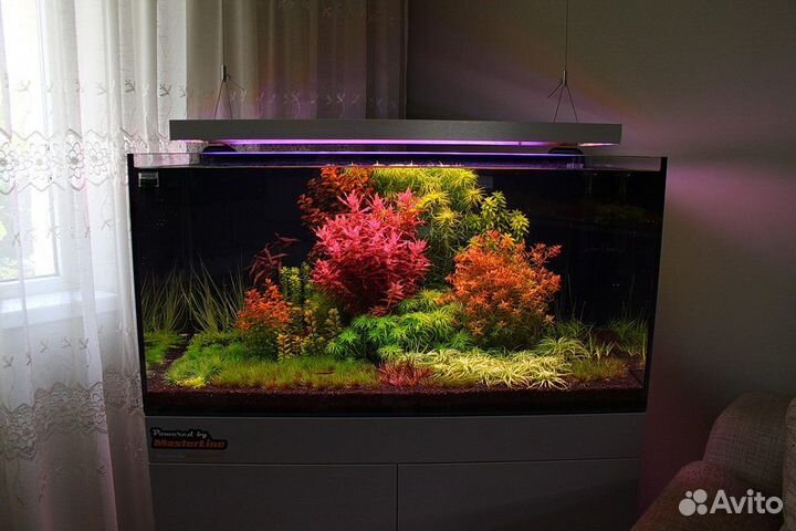 Оформление аквариумов,консультации,коряги