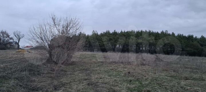 Участок 21 сот. (ИЖС)