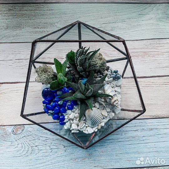 Флорариумы любой формы