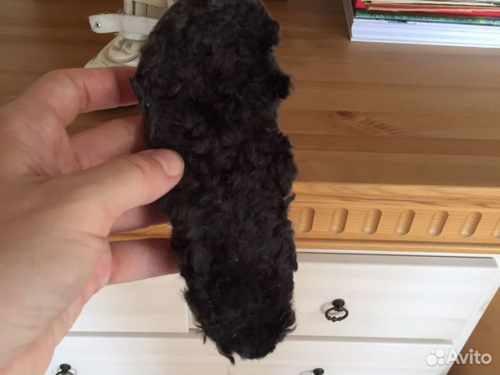 Зимние сапожки