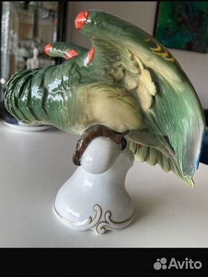 Rosenthal Попугай Бавария