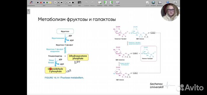 Репетитор по биохимии