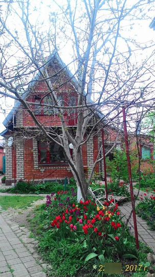 Комната 16 м² в 3-к., 2/2 эт.