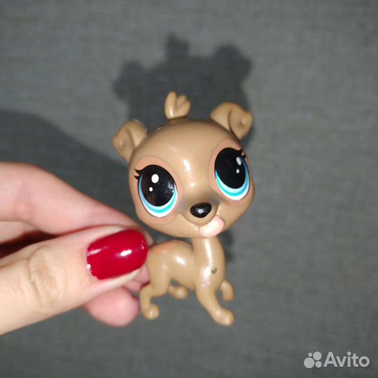Littlest Pet Shop