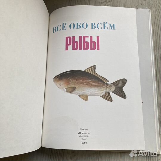 Все обо всем. Рыбы