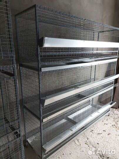 Клетки для кур несушек бу. Один сезон
