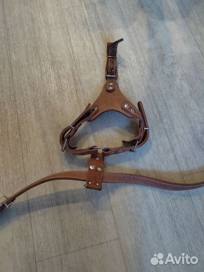 Шлейка для собаки