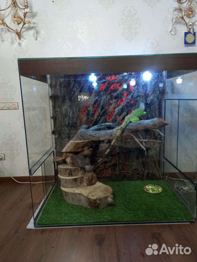 Террариумы для рептилий