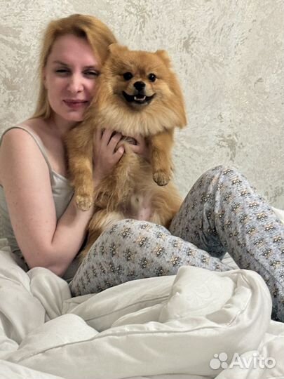 Ищем самочку для вязки