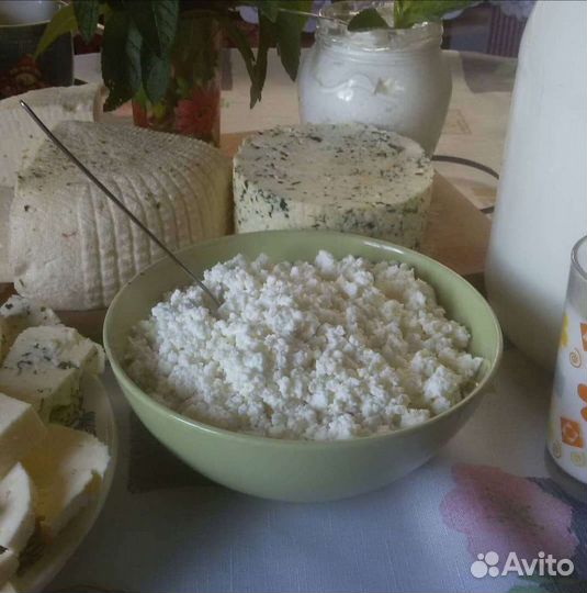 Козье, молоко, сыр, творог