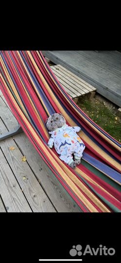 Одежда для кукол