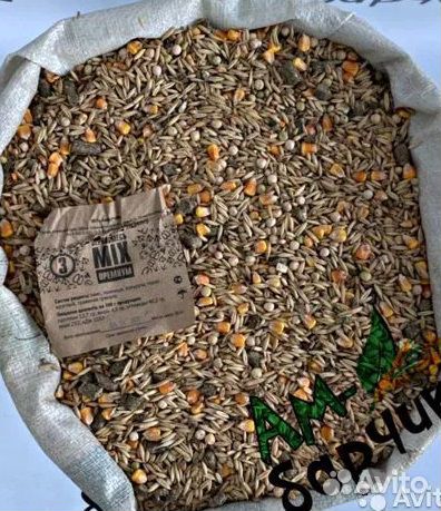 Пшеница ячмень кукуруза комбикорма розница опт