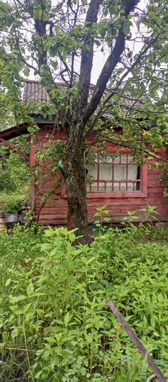 Дача 30 м² на участке 10 сот.