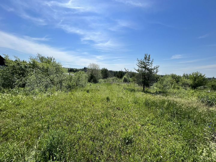 Участок 10 сот. (СНТ, ДНП)