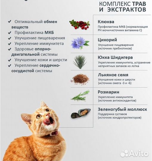 Корм для кошек AlphaPet