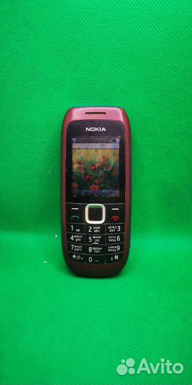Nokia 1616