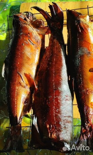 Копчение рыбы