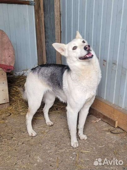 Очень красивая девочка из приюта