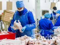 Фасовщик/ца без опыта вахта в Тамбов с жильем