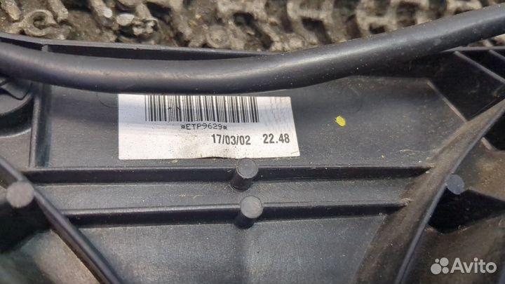 Вентилятор радиатора Nissan Primera P12, 2002