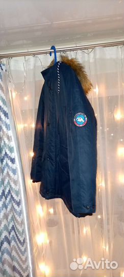 Аляска Anteater