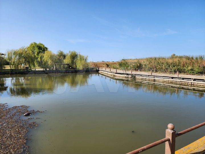 Дом 160 м² на участке 32 сот.