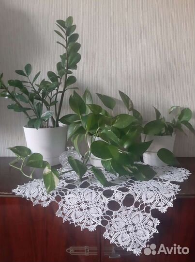 Салфетка (винтаж) связанная крючком