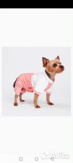 Комбинезон для собаки