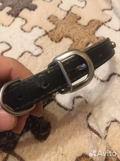 Ошейник повадок намордник