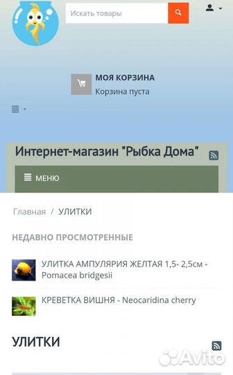 Улитка Аквариумная ампулярия