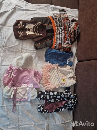 Одежда для маленьких собак