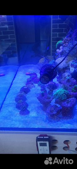 Аквариум с тумбой 250 литров