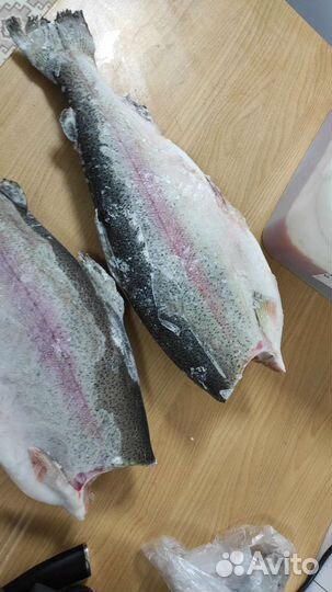 Форель морская