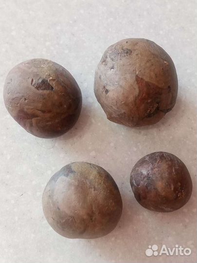 Продам прополис