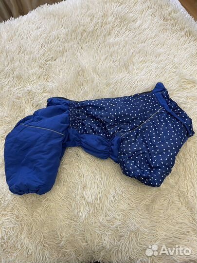 Костюм для собаки