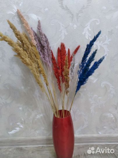 Вейник - сухоцвет