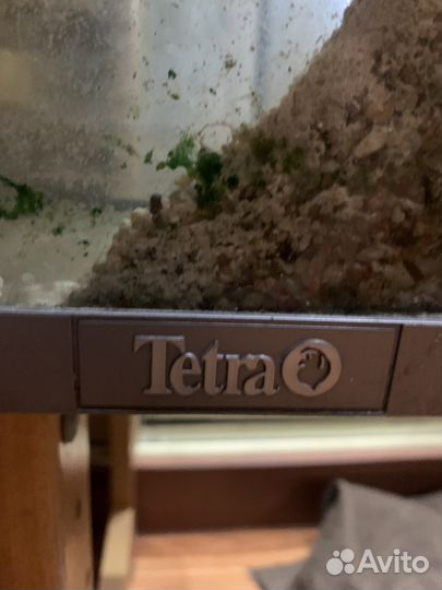 Аквариум Tetra