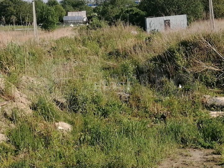 Участок 45,2 сот. (СНТ, ДНП)