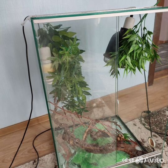 Террариум для хамелеона, рептилий