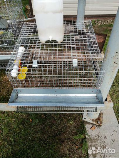 Клетки для перепелов