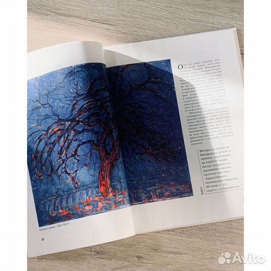 Книга Пит Мондриан (новая)