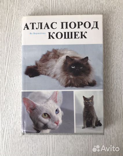 Книга « Атлас пород кошек»