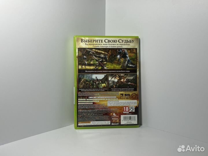 Kingdoms of Amalur: Reckoning Xbox 360