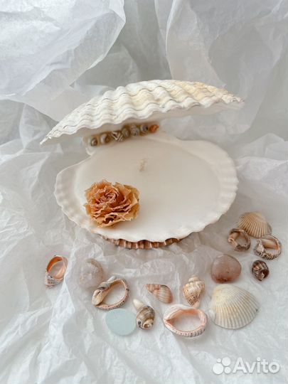 Свеча в двойной морской раковине