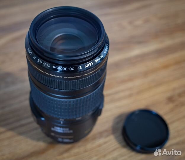 Canon EF 70-300mm f/4-5.6 IS USM