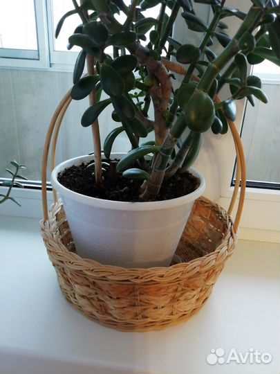 Корзина плетеная для подарков