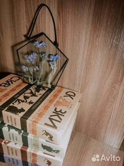 Гербарий в стекле